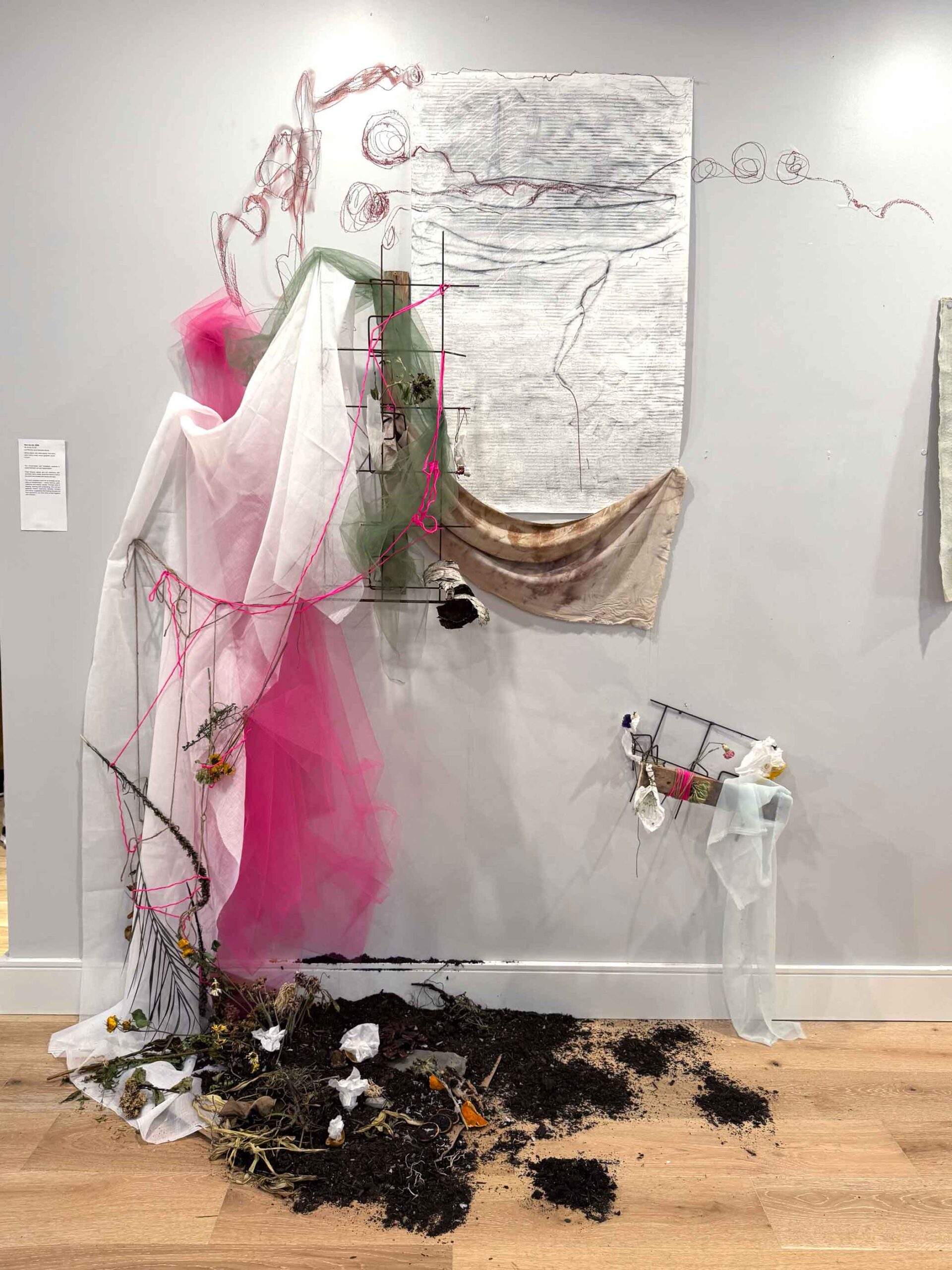here-we-are-2025-elizabeth-rennie-carolyn-sirois Mixed media art installation titled here we are (2025) by Elizabeth Rennie and Carolyn Sirois. The piece features a wire drawing on the wall, layered with fabric (including pink tulle and sheer white and green netting), a large textured graphite and ink drawing, and sculptural elements made of sticks, mesh, string, and found objects. Organic materials and soil are scattered on the floor, creating a sense of collapse or emergence. The work evokes themes of environment, entanglement, and embodiment through its interplay of natural and synthetic textures.